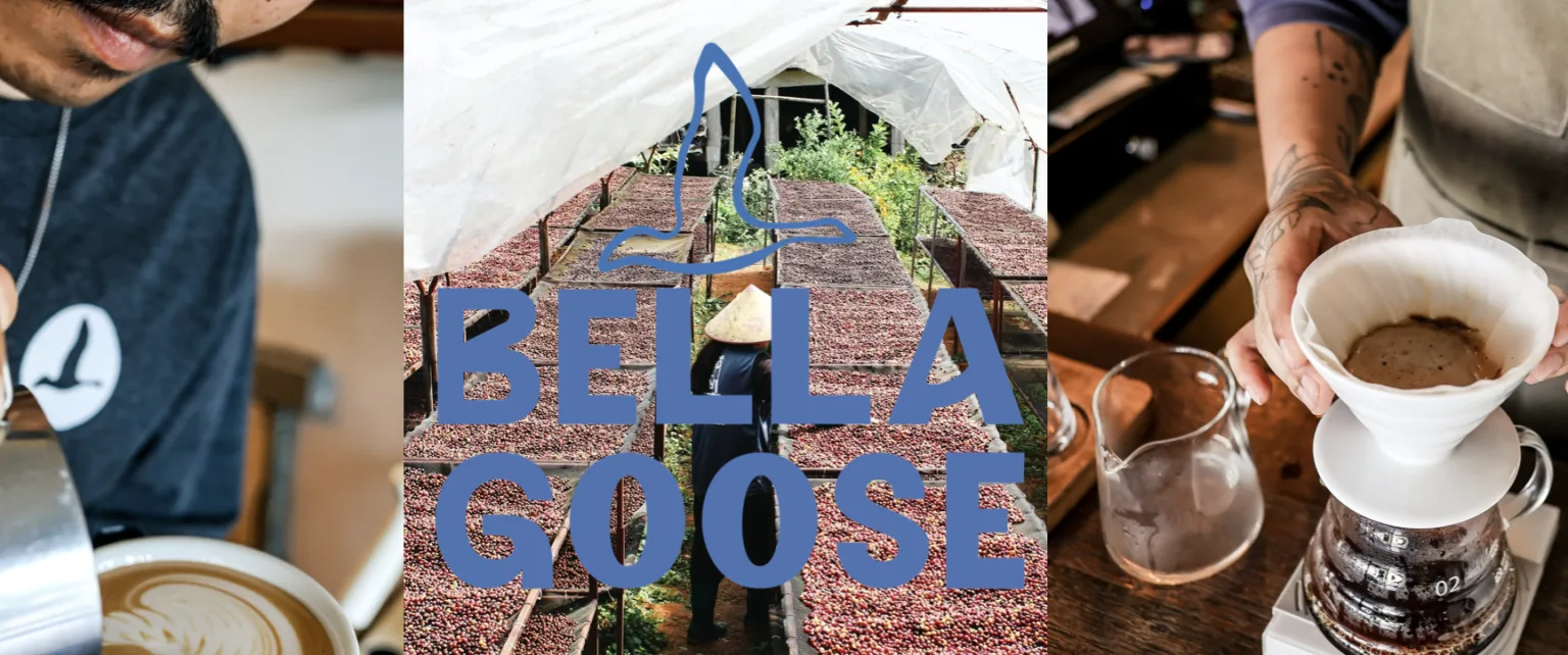Workshop: Coffee Ecosystem in Northern Thailand (Bella Goose)