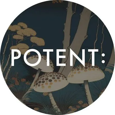 Workshop: Functional Mushroom Tea Ceremony